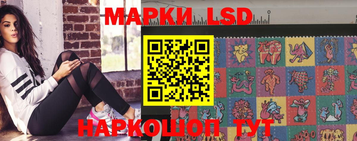 Гатчина  Лсд 25 экстази ecstasy  Вход с VPN 